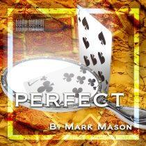 PERFECT BY MARK MASON